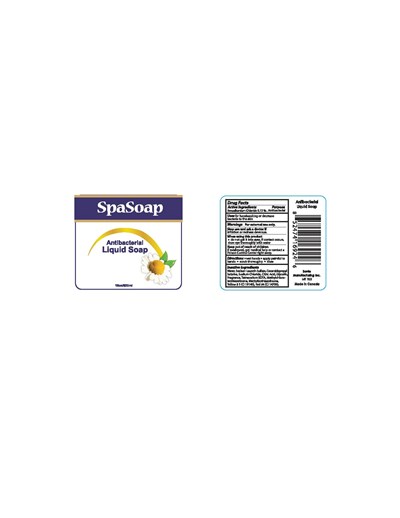 Antibacterial Liquid Soap (Antibacterial 16oz)